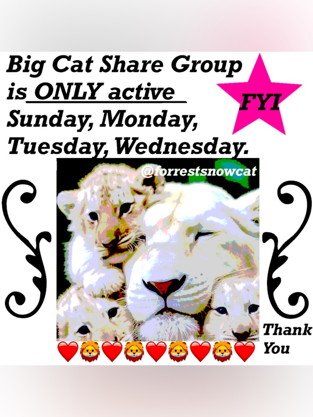 BIG CAT SHARE GROUP FYI